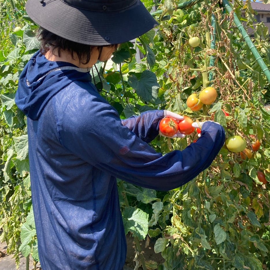insect shield farmer